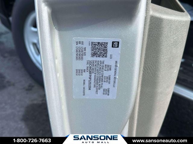 2023 Chevrolet Express 2500 Work Van Cargo